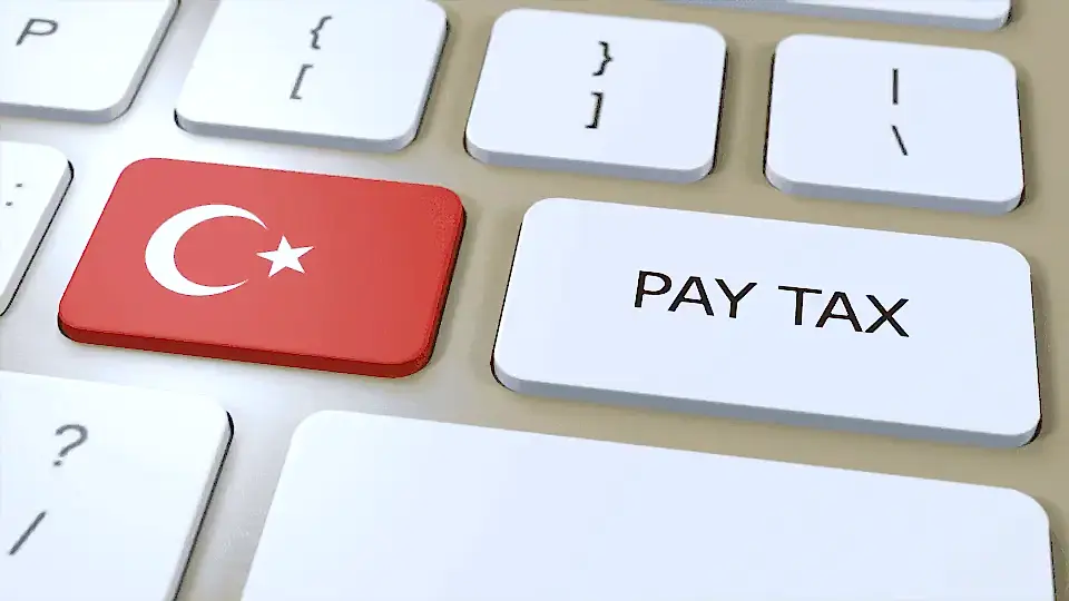 Vergi Zamları